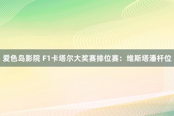 爱色岛影院 F1卡塔尔大奖赛排位赛：维斯塔潘杆位