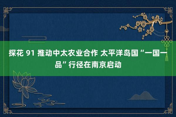 探花 91 推动中太农业合作 太平洋岛国“一国一品”行径在南京启动