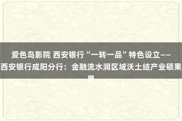 爱色岛影院 西安银行“一转一品”特色设立——西安银行咸阳分行：金融流水润区域沃土结产业硕果