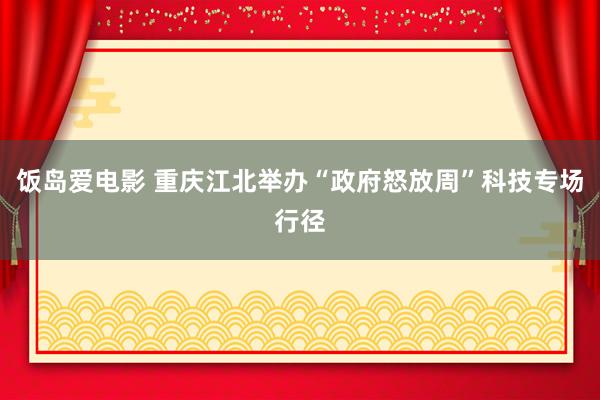 饭岛爱电影 重庆江北举办“政府怒放周”科技专场行径