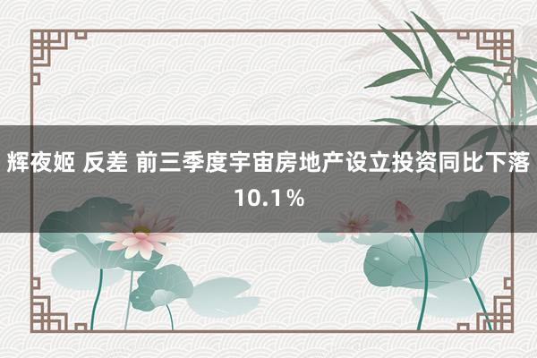 辉夜姬 反差 前三季度宇宙房地产设立投资同比下落10.1%