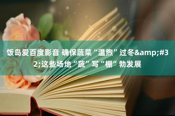 饭岛爱百度影音 确保蔬菜“温煦”过冬&#32;这些场地“蔬”写“棚”勃发展