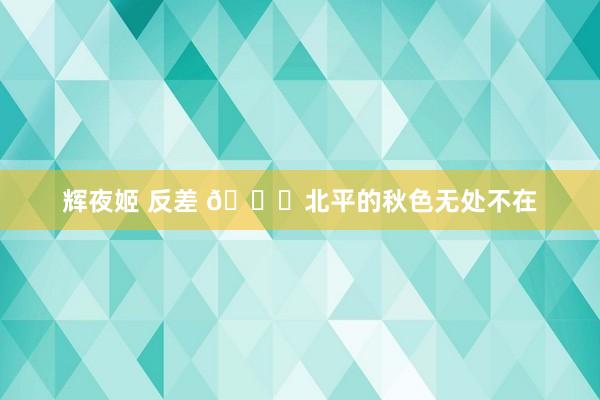 辉夜姬 反差 🍂北平的秋色无处不在
