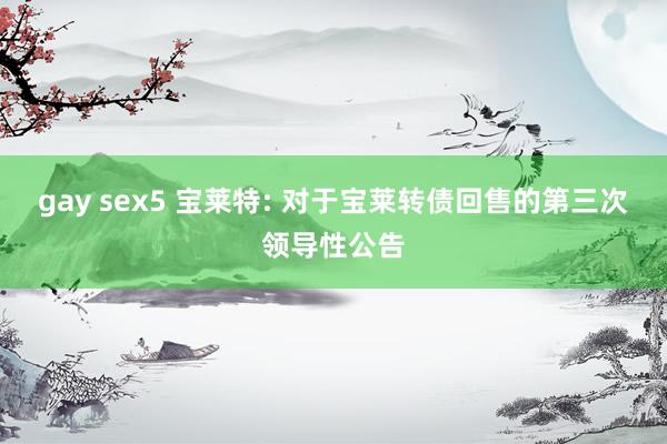 gay sex5 宝莱特: 对于宝莱转债回售的第三次领导性公告