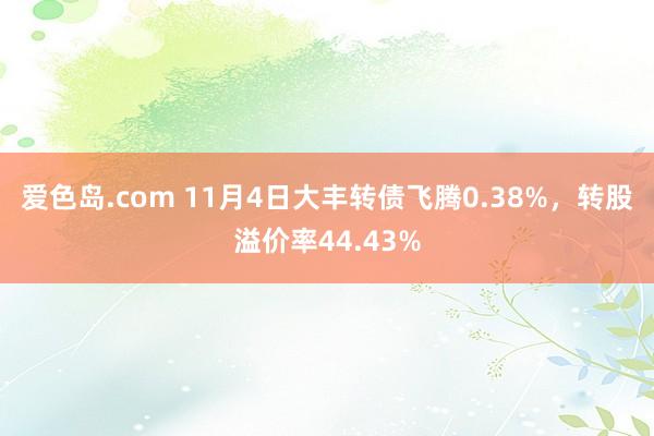 爱色岛.com 11月4日大丰转债飞腾0.38%,转股溢价率44.43%
