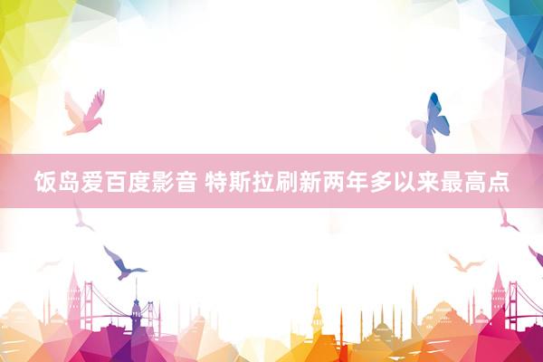 饭岛爱百度影音 特斯拉刷新两年多以来最高点