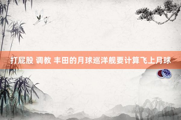 打屁股 调教 丰田的月球巡洋舰要计算飞上月球