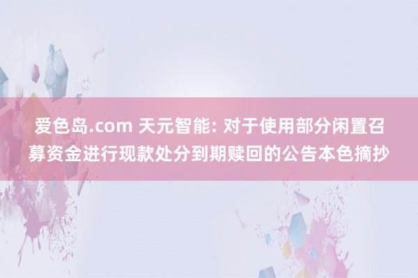 爱色岛.com 天元智能: 对于使用部分闲置召募资金进行现款处分到期赎回的公告本色摘抄