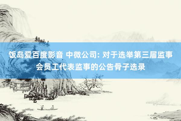 饭岛爱百度影音 中微公司: 对于选举第三届监事会员工代表监事的公告骨子选录