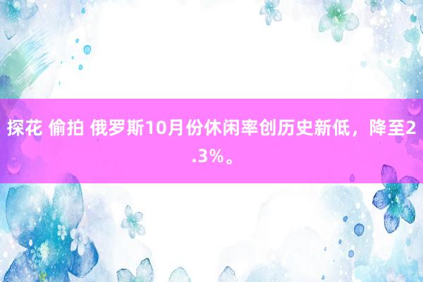 探花 偷拍 俄罗斯10月份休闲率创历史新低，降至2.3%。