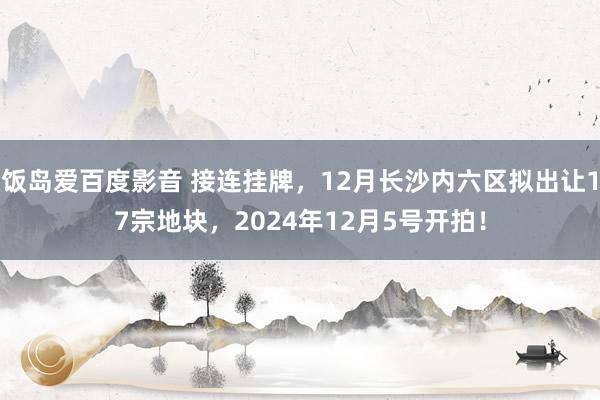 饭岛爱百度影音 接连挂牌，12月长沙内六区拟出让17宗地块，2024年12月5号开拍！