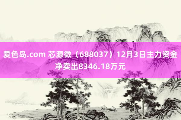 爱色岛.com 芯源微（688037）12月3日主力资金净卖出8346.18万元