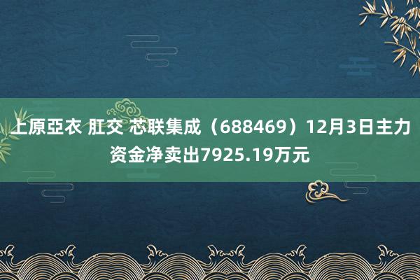 上原亞衣 肛交 芯联集成（688469）12月3日主力资金净卖出7925.19万元