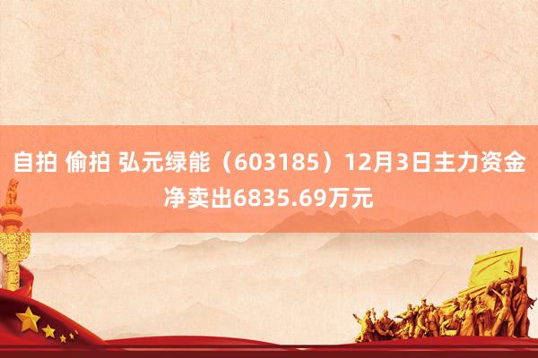 自拍 偷拍 弘元绿能（603185）12月3日主力资金净卖出6835.69万元