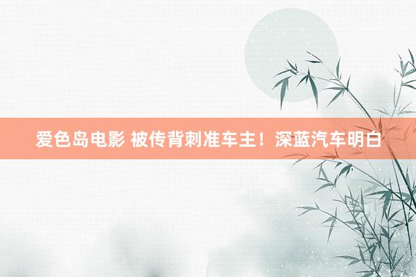 爱色岛电影 被传背刺准车主！深蓝汽车明白