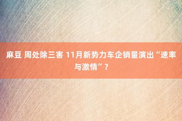 麻豆 周处除三害 11月新势力车企销量演出“速率与激情”？