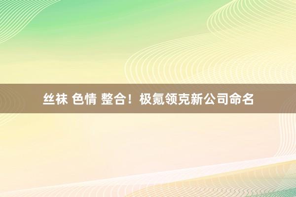 丝袜 色情 整合！极氪领克新公司命名
