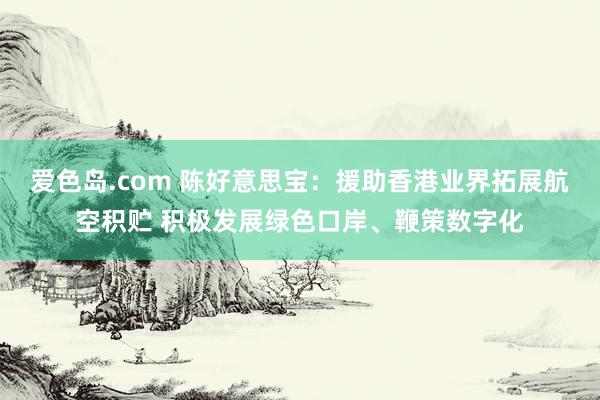 爱色岛.com 陈好意思宝：援助香港业界拓展航空积贮 积极发展绿色口岸、鞭策数字化
