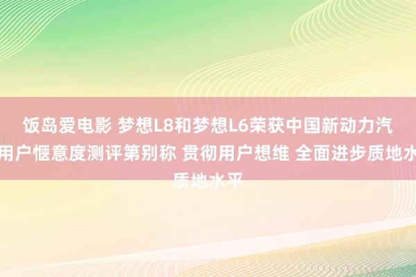 饭岛爱电影 梦想L8和梦想L6荣获中国新动力汽车用户惬意度测评第别称 贯彻用户想维 全面进步质地水平