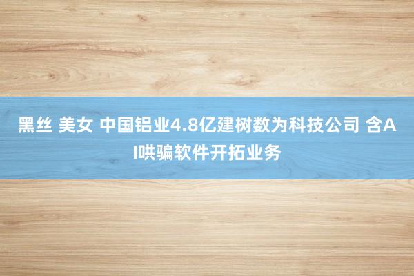 黑丝 美女 中国铝业4.8亿建树数为科技公司 含AI哄骗软件开拓业务