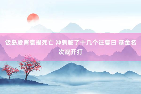 饭岛爱肾衰竭死亡 冲刺临了十几个往复日 基金名次战开打
