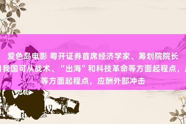 爱色岛电影 粤开证券首席经济学家、筹划院院长罗志恒：改日我国可从战术、“出海”和科技革命等方面起程点，应酬外部冲击