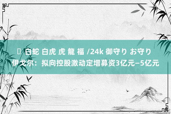 ✨白蛇 白虎 虎 龍 福 /24k 御守り お守り 伊戈尔：拟向控股激动定增募资3亿元—5亿元