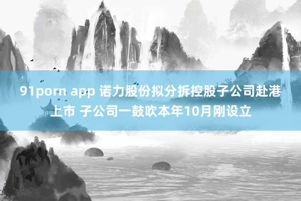 91porn app 诺力股份拟分拆控股子公司赴港上市 子公司一鼓吹本年10月刚设立