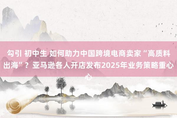勾引 初中生 如何助力中国跨境电商卖家“高质料出海”？亚马逊各人开店发布2025年业务策略重心