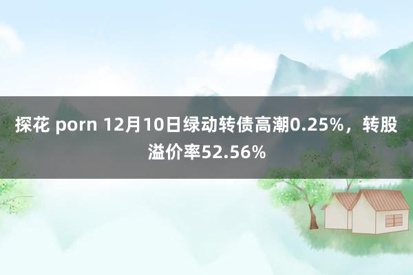 探花 porn 12月10日绿动转债高潮0.25%，转股溢价率52.56%