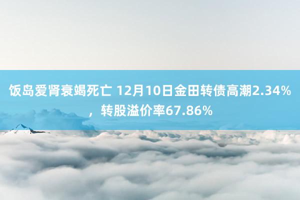 饭岛爱肾衰竭死亡 12月10日金田转债高潮2.34%，转股溢价率67.86%