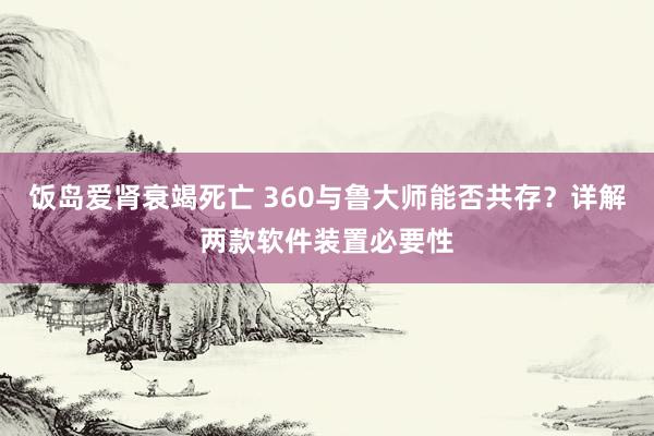 饭岛爱肾衰竭死亡 360与鲁大师能否共存？详解两款软件装置必要性