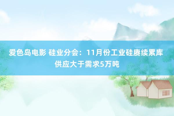 爱色岛电影 硅业分会：11月份工业硅赓续累库 供应大于需求5万吨