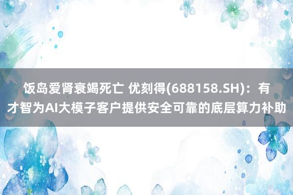 饭岛爱肾衰竭死亡 优刻得(688158.SH)：有才智为AI大模子客户提供安全可靠的底层算力补助