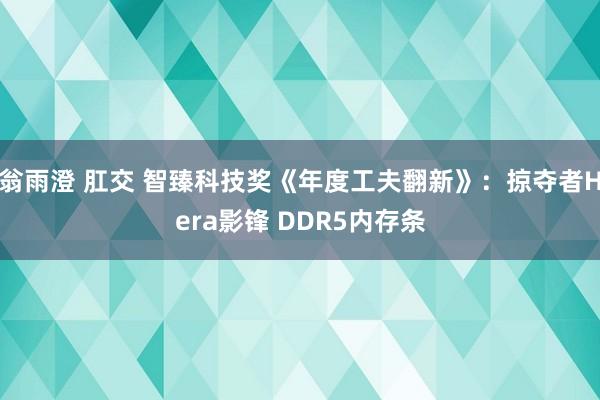 翁雨澄 肛交 智臻科技奖《年度工夫翻新》：掠夺者Hera影锋 DDR5内存条
