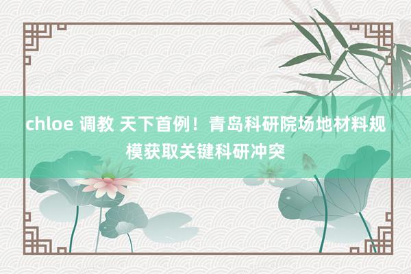 chloe 调教 天下首例！青岛科研院场地材料规模获取关键科研冲突