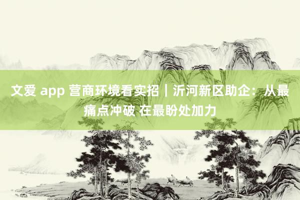 文爱 app 营商环境看实招｜沂河新区助企：从最痛点冲破 在最盼处加力