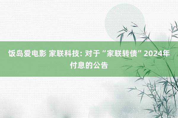饭岛爱电影 家联科技: 对于“家联转债”2024年付息的公告