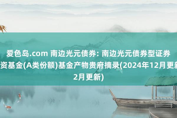 爱色岛.com 南边光元债券: 南边光元债券型证券投资基金(A类份额)基金产物贵府摘录(2024年12月更新)