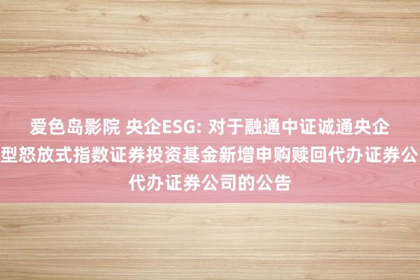 爱色岛影院 央企ESG: 对于融通中证诚通央企ESG交游型怒放式指数证券投资基金新增申购赎回代办证券公司的公告