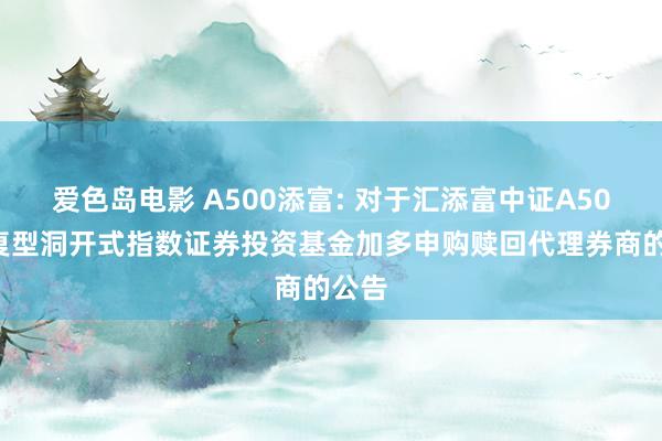 爱色岛电影 A500添富: 对于汇添富中证A500往复型洞开式指数证券投资基金加多申购赎回代理券商的公告