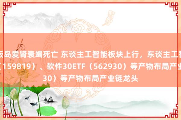 饭岛爱肾衰竭死亡 东谈主工智能板块上行，东谈主工智能ETF（159819）、软件30ETF（562930）等产物布局产业链龙头