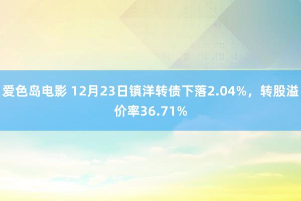爱色岛电影 12月23日镇洋转债下落2.04%，转股溢价率36.71%