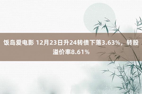 饭岛爱电影 12月23日升24转债下落3.63%，转股溢价率8.61%