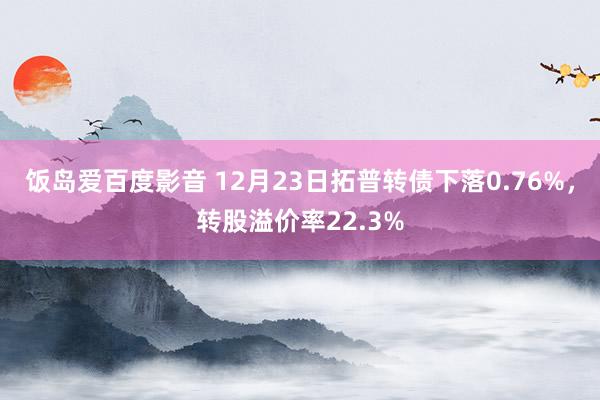 饭岛爱百度影音 12月23日拓普转债下落0.76%，转股溢价率22.3%