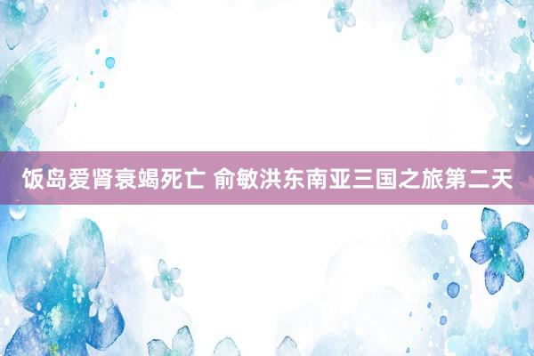 饭岛爱肾衰竭死亡 俞敏洪东南亚三国之旅第二天