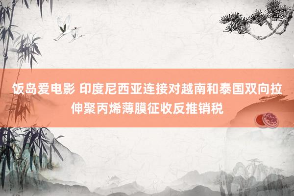 饭岛爱电影 印度尼西亚连接对越南和泰国双向拉伸聚丙烯薄膜征收反推销税