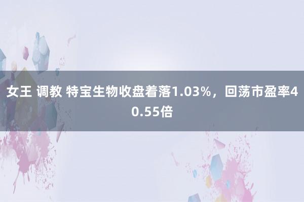 女王 调教 特宝生物收盘着落1.03%，回荡市盈率40.55倍