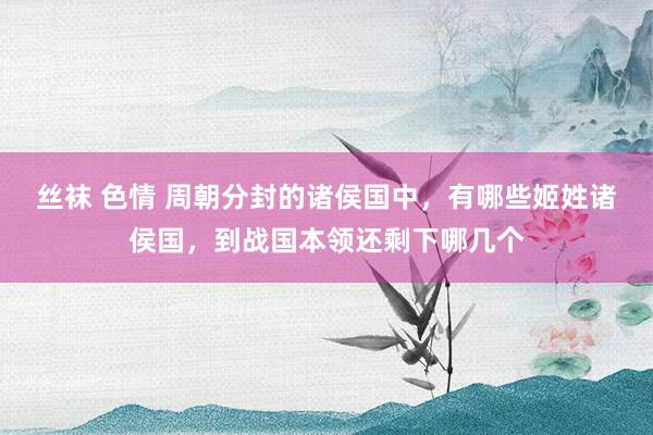 丝袜 色情 周朝分封的诸侯国中，有哪些姬姓诸侯国，到战国本领还剩下哪几个