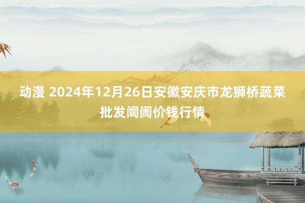 动漫 2024年12月26日安徽安庆市龙狮桥蔬菜批发阛阓价钱行情